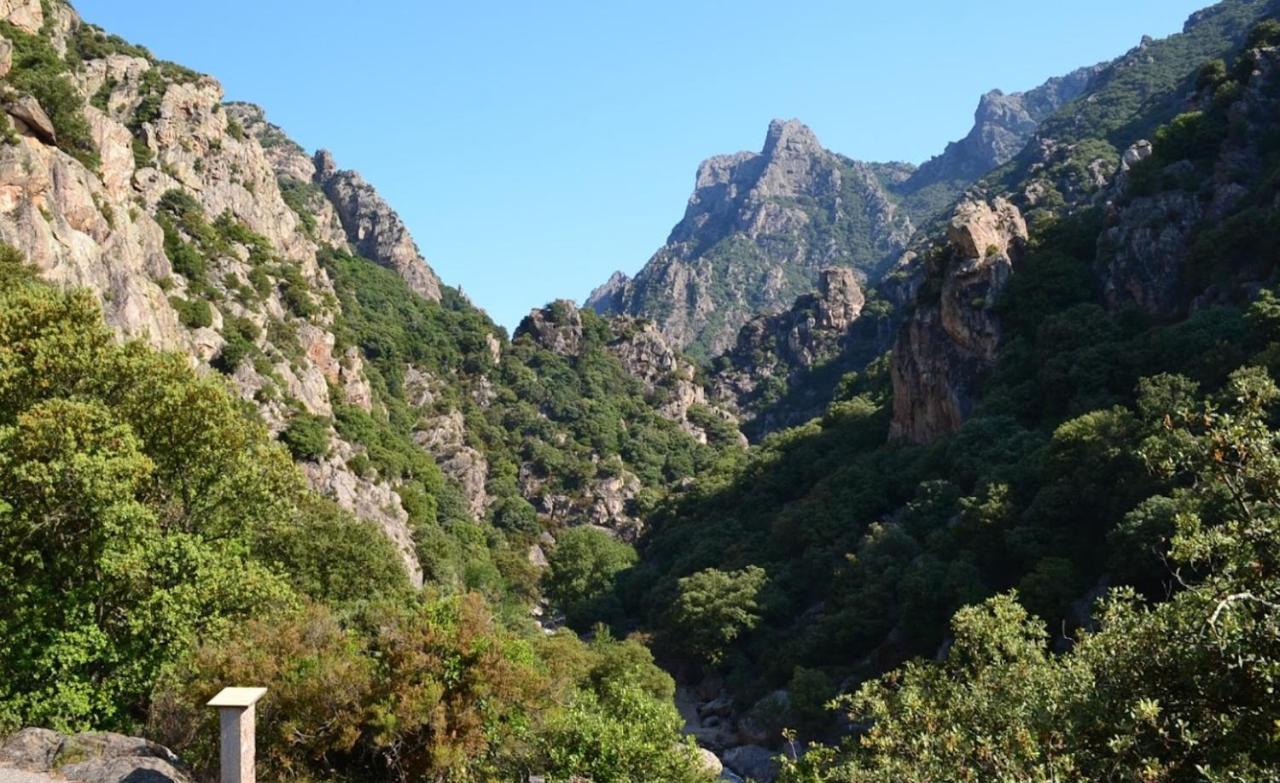 Residence Du Soleil Beziers Luaran gambar